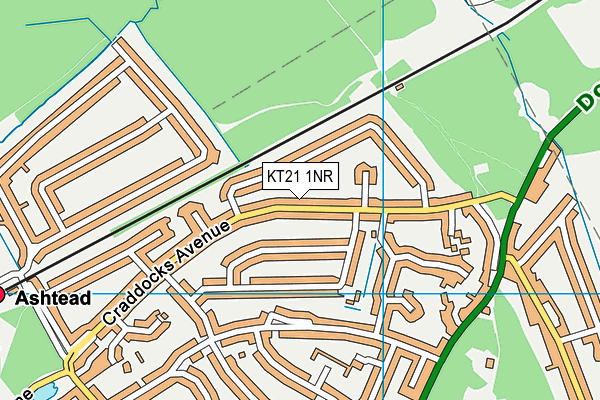 KT21 1NR map - OS VectorMap District (Ordnance Survey)