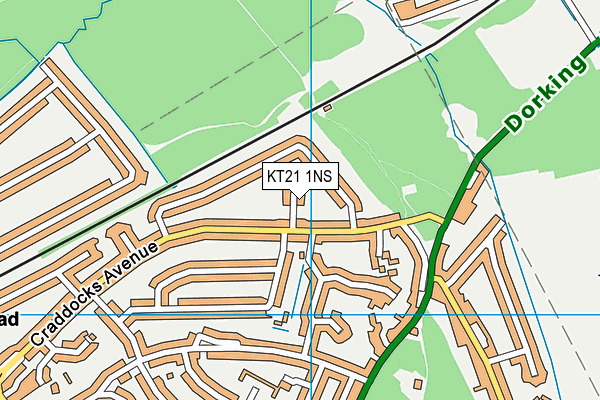 KT21 1NS map - OS VectorMap District (Ordnance Survey)