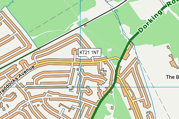 KT21 1NT map - OS VectorMap District (Ordnance Survey)