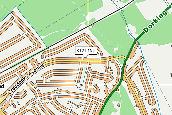 KT21 1NU map - OS VectorMap District (Ordnance Survey)