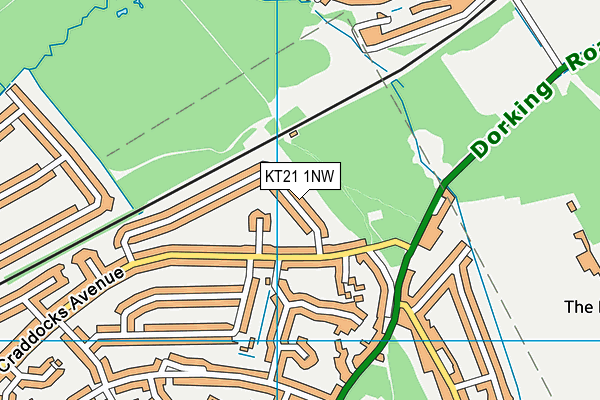 KT21 1NW map - OS VectorMap District (Ordnance Survey)