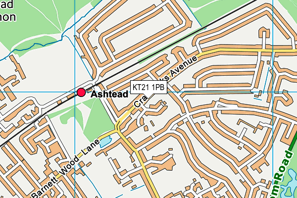 KT21 1PB map - OS VectorMap District (Ordnance Survey)