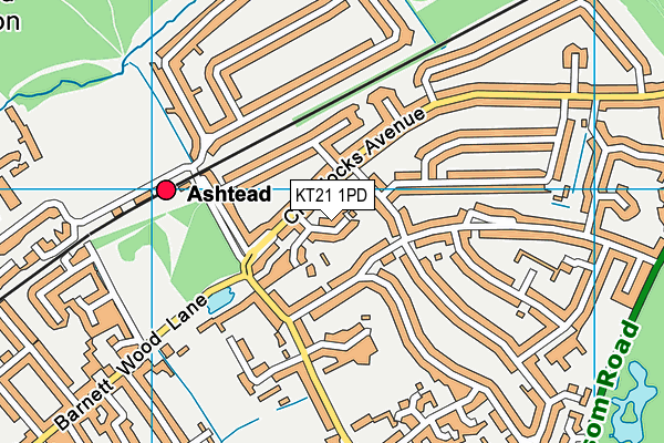 KT21 1PD map - OS VectorMap District (Ordnance Survey)