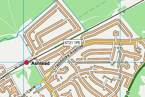 KT21 1PE map - OS VectorMap District (Ordnance Survey)