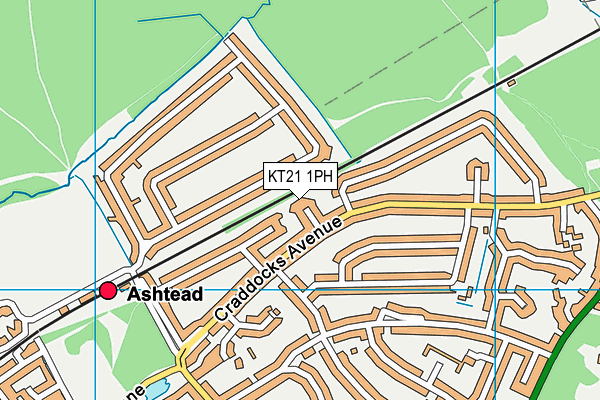 KT21 1PH map - OS VectorMap District (Ordnance Survey)