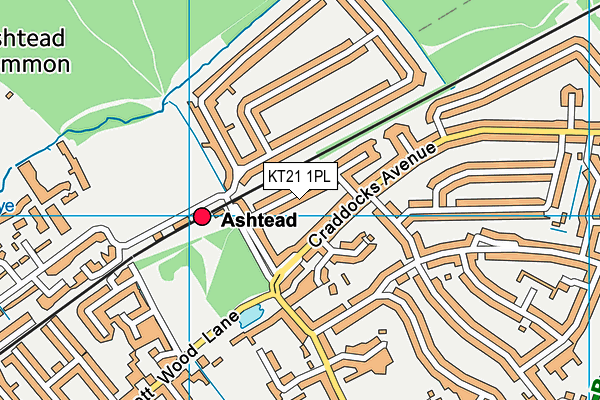 KT21 1PL map - OS VectorMap District (Ordnance Survey)