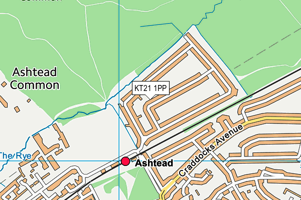 KT21 1PP map - OS VectorMap District (Ordnance Survey)