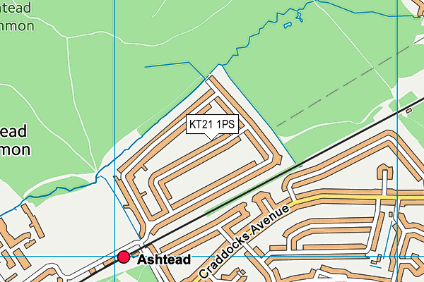 KT21 1PS map - OS VectorMap District (Ordnance Survey)