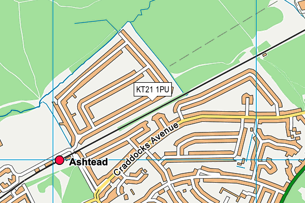 KT21 1PU map - OS VectorMap District (Ordnance Survey)