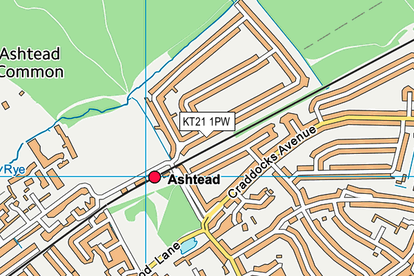 KT21 1PW map - OS VectorMap District (Ordnance Survey)