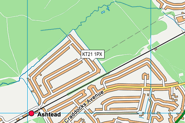 KT21 1PX map - OS VectorMap District (Ordnance Survey)