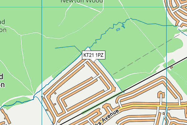 KT21 1PZ map - OS VectorMap District (Ordnance Survey)