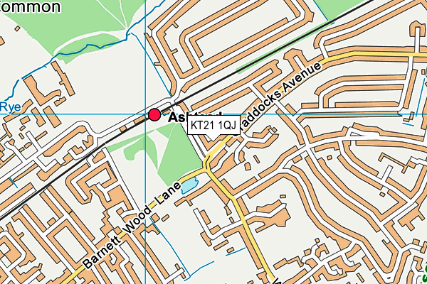 KT21 1QJ map - OS VectorMap District (Ordnance Survey)