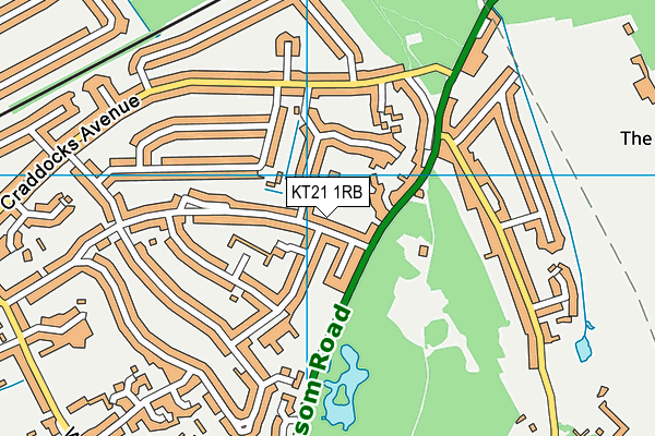 KT21 1RB map - OS VectorMap District (Ordnance Survey)