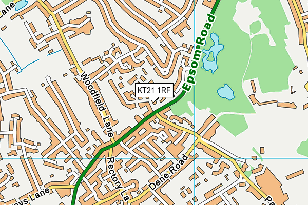 KT21 1RF map - OS VectorMap District (Ordnance Survey)