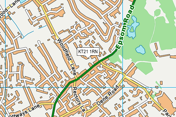 KT21 1RN map - OS VectorMap District (Ordnance Survey)