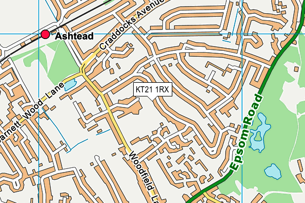 KT21 1RX map - OS VectorMap District (Ordnance Survey)