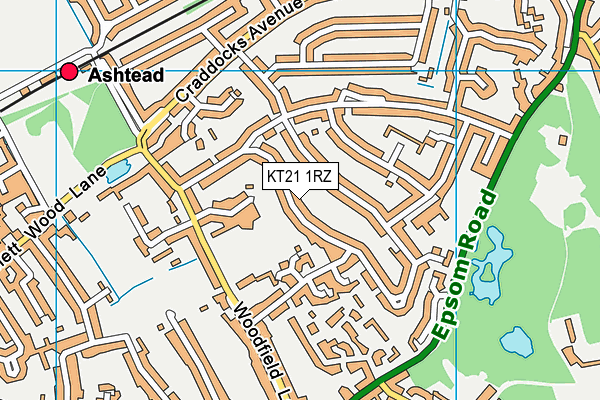 KT21 1RZ map - OS VectorMap District (Ordnance Survey)