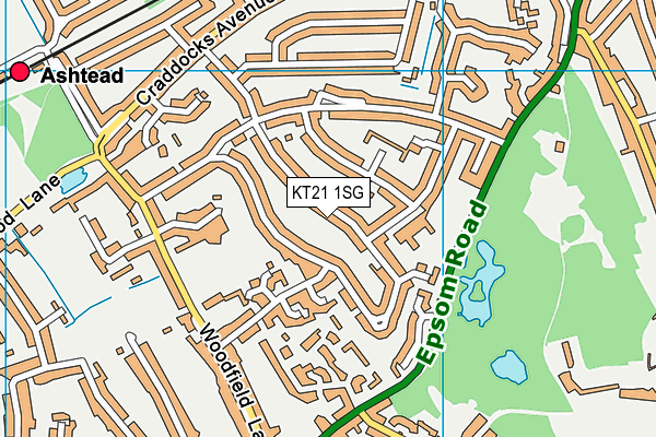 KT21 1SG map - OS VectorMap District (Ordnance Survey)