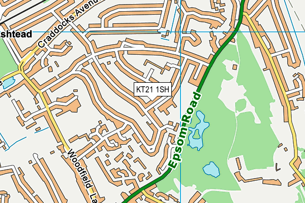 KT21 1SH map - OS VectorMap District (Ordnance Survey)