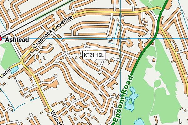 KT21 1SL map - OS VectorMap District (Ordnance Survey)