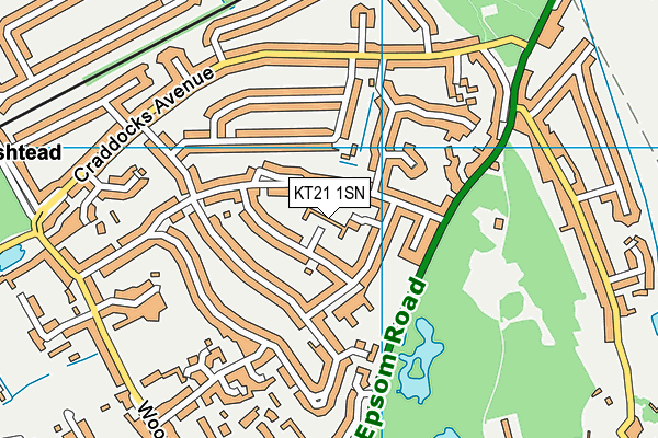 KT21 1SN map - OS VectorMap District (Ordnance Survey)