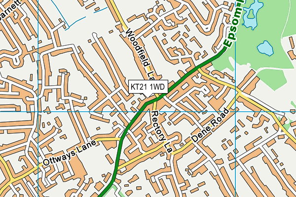 KT21 1WD map - OS VectorMap District (Ordnance Survey)