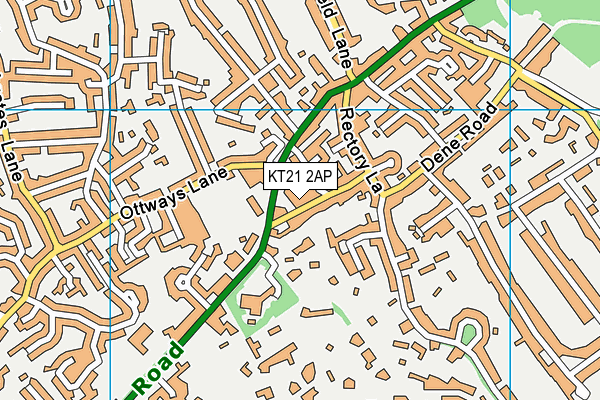 KT21 2AP map - OS VectorMap District (Ordnance Survey)