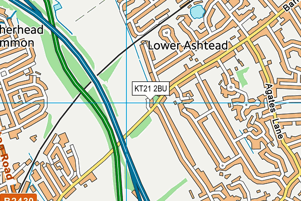 KT21 2BU map - OS VectorMap District (Ordnance Survey)