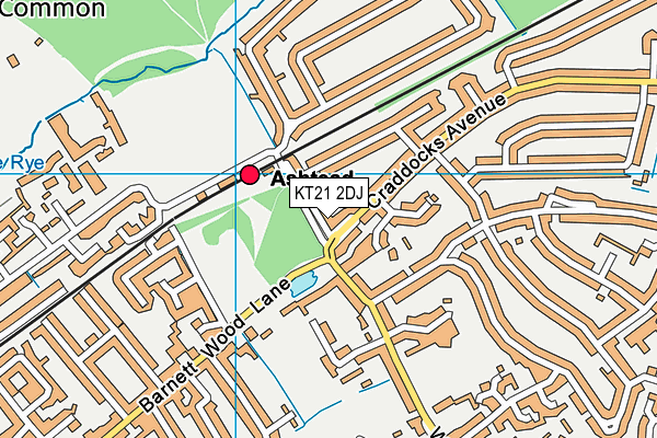 KT21 2DJ map - OS VectorMap District (Ordnance Survey)