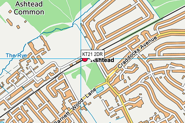 KT21 2DR map - OS VectorMap District (Ordnance Survey)