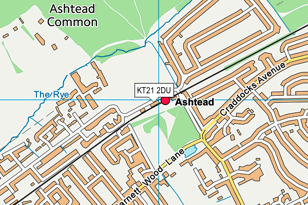 KT21 2DU map - OS VectorMap District (Ordnance Survey)