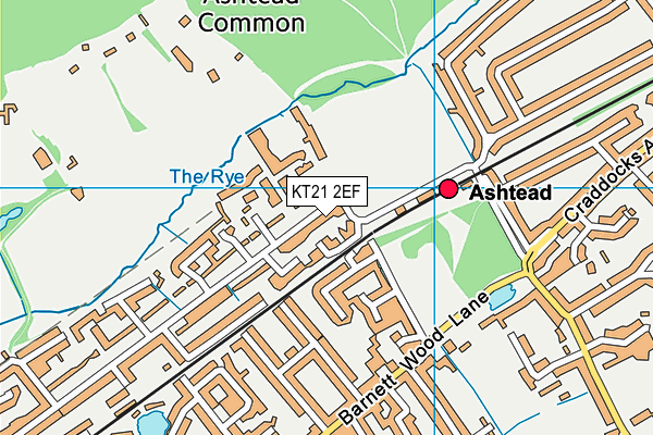 KT21 2EF map - OS VectorMap District (Ordnance Survey)