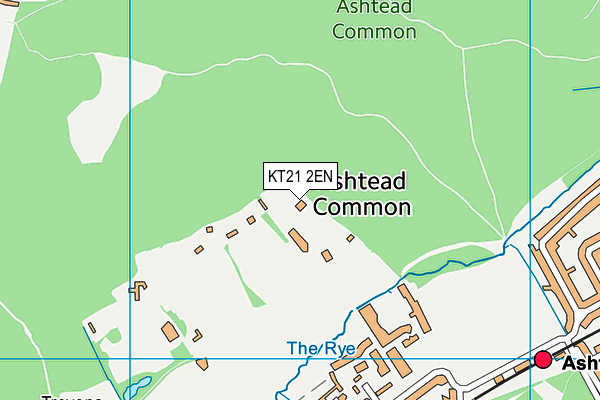 KT21 2EN map - OS VectorMap District (Ordnance Survey)