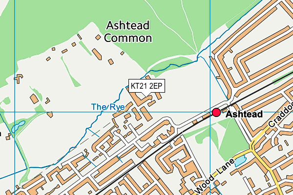 KT21 2EP map - OS VectorMap District (Ordnance Survey)