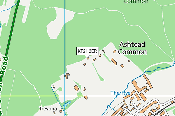 KT21 2ER map - OS VectorMap District (Ordnance Survey)