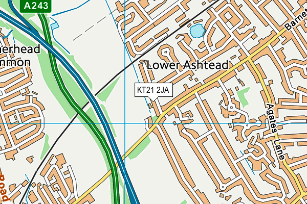 KT21 2JA map - OS VectorMap District (Ordnance Survey)