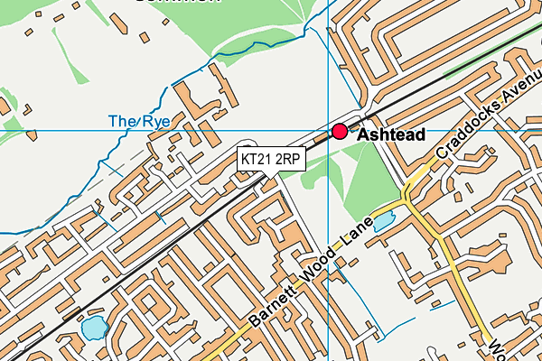 KT21 2RP map - OS VectorMap District (Ordnance Survey)