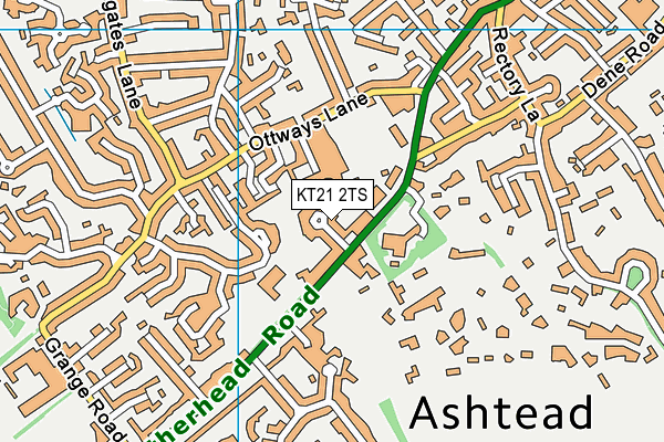 KT21 2TS map - OS VectorMap District (Ordnance Survey)