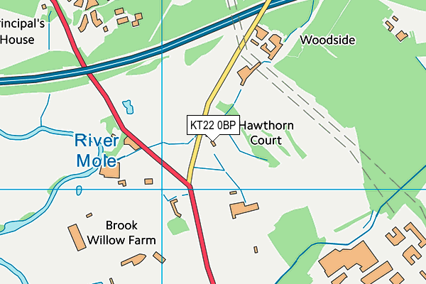 Pachesham Park Golf Centre map (KT22 0BP) - OS VectorMap District (Ordnance Survey)