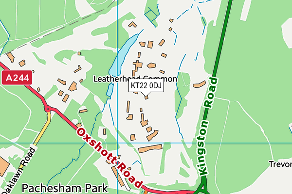 KT22 0DJ map - OS VectorMap District (Ordnance Survey)