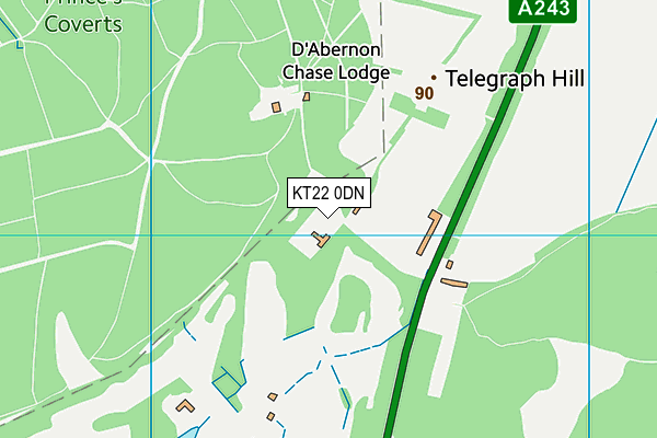 KT22 0DN map - OS VectorMap District (Ordnance Survey)