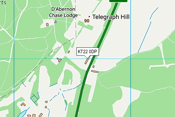 KT22 0DP map - OS VectorMap District (Ordnance Survey)