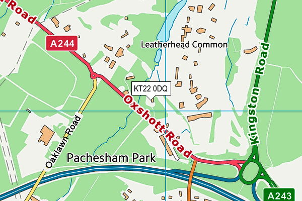 KT22 0DQ map - OS VectorMap District (Ordnance Survey)