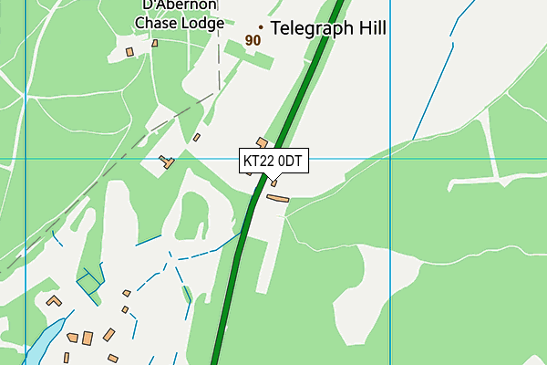 KT22 0DT map - OS VectorMap District (Ordnance Survey)