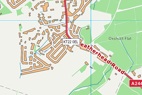 KT22 0EL map - OS VectorMap District (Ordnance Survey)