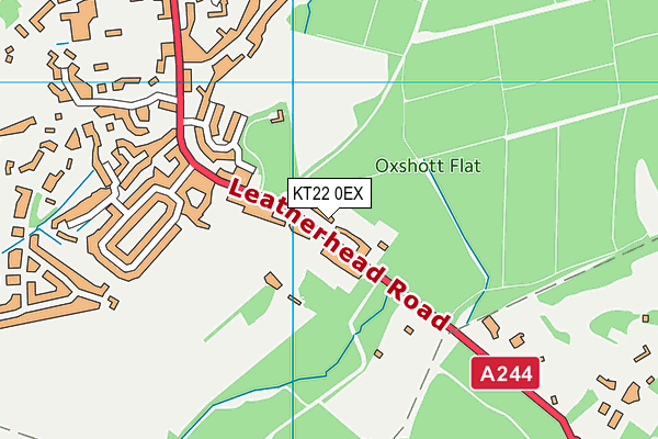 KT22 0EX map - OS VectorMap District (Ordnance Survey)