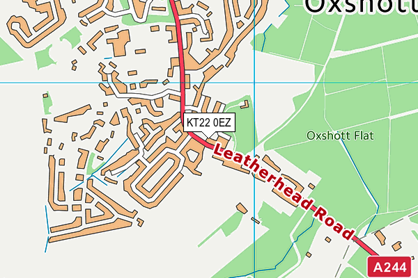 KT22 0EZ map - OS VectorMap District (Ordnance Survey)