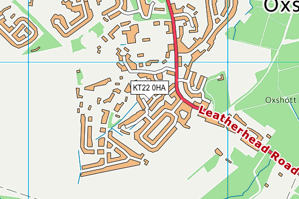 KT22 0HA map - OS VectorMap District (Ordnance Survey)
