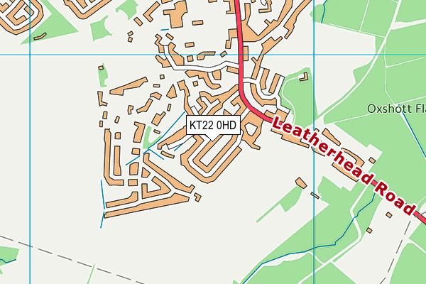 KT22 0HD map - OS VectorMap District (Ordnance Survey)